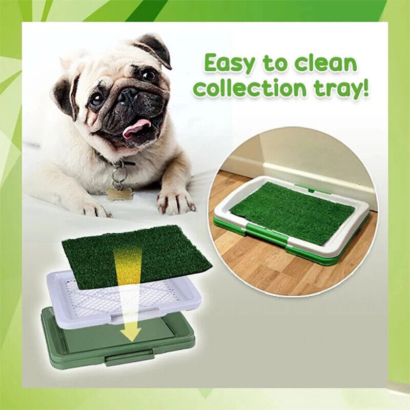 CalmPaws™ Indoor Dog Potty Training Mat – Grass Loo Tray for Puppies & Dogs